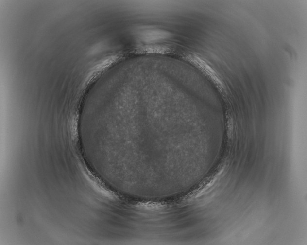 X0000111660537200907311140