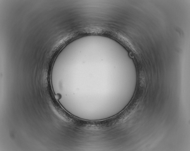 X0000111660538200907311140