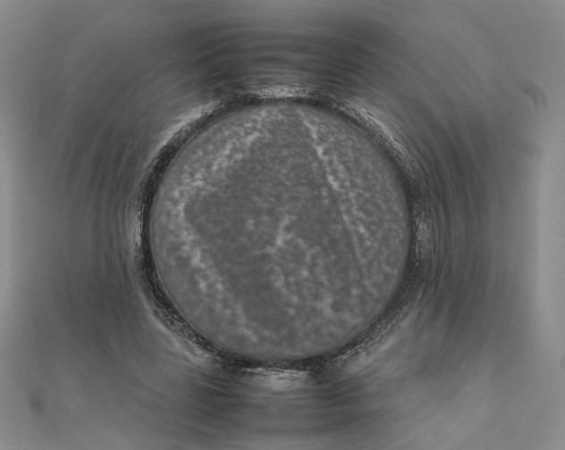 X0000111660539200907311140