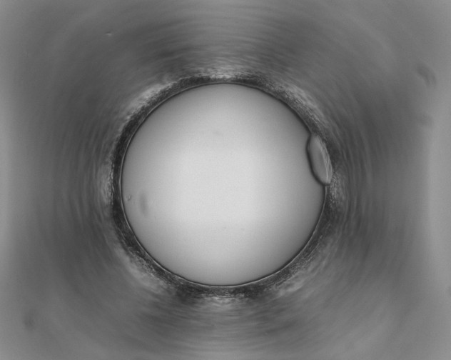 X0000111660540200907311140