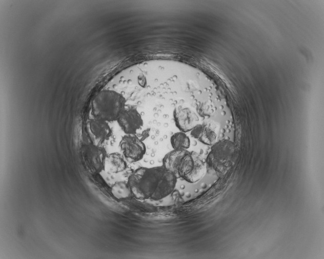 X0000111660541200907311140