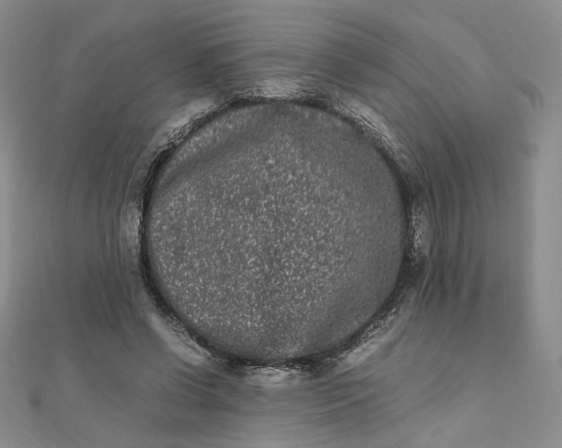 X0000111660542200907311140