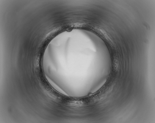 X0000111660543200907311140