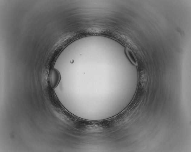 X0000111660544200907311140