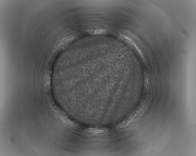 X0000111660545200907311140