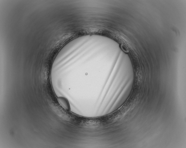 X0000111660546200907311140