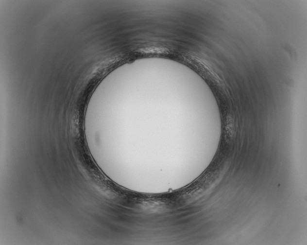 X0000111660547200907311140