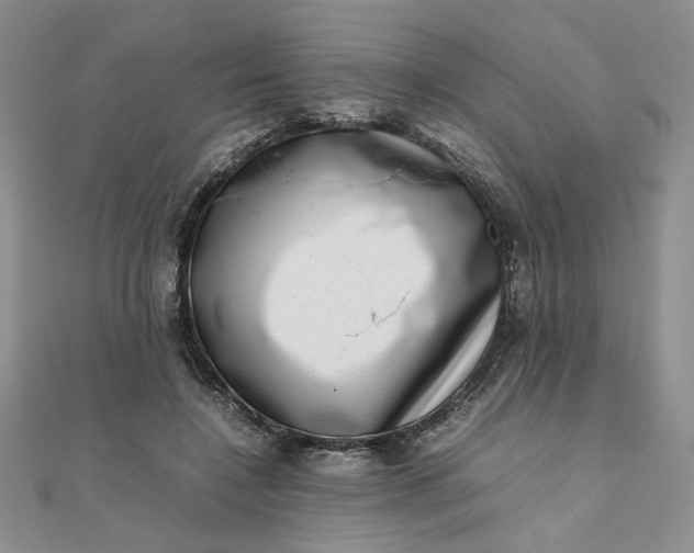 X0000111660548200907311140