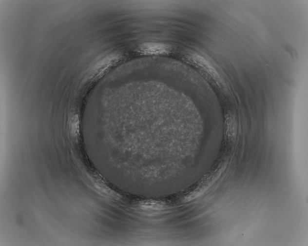 X0000111660549200907311140