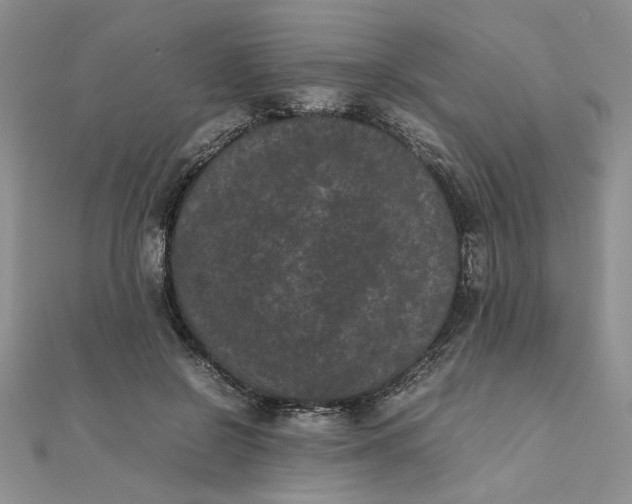 X0000111660550200907311140