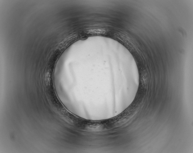 X0000111660551200907311140