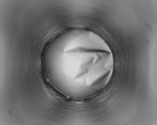 X0000111660552200907311140