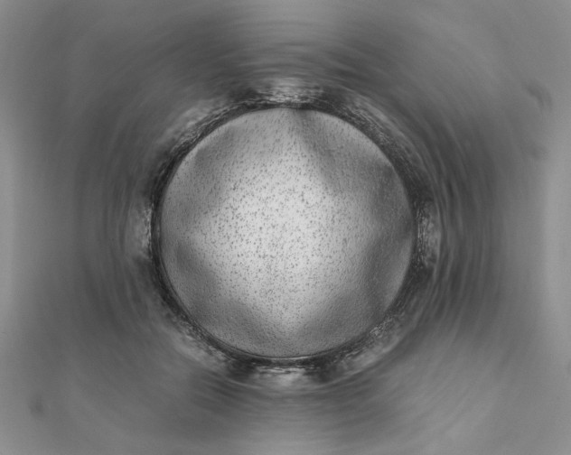 X0000111660554200907311140