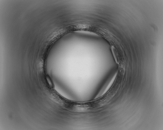 X0000111660556200907311140