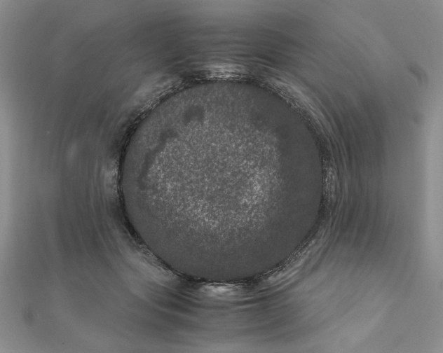 X0000111660557200907311140