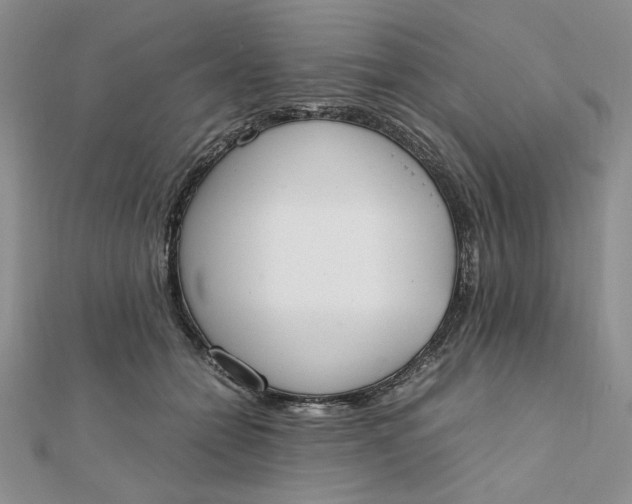 X0000111660558200907311140