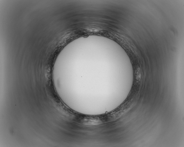 X0000111660559200907311140