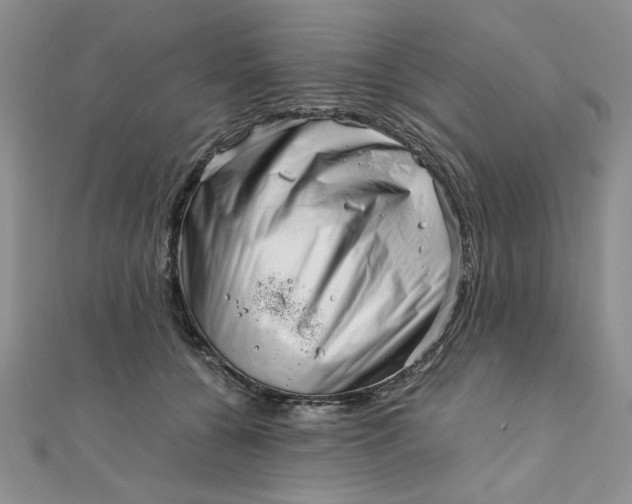 X0000111660560200907311140