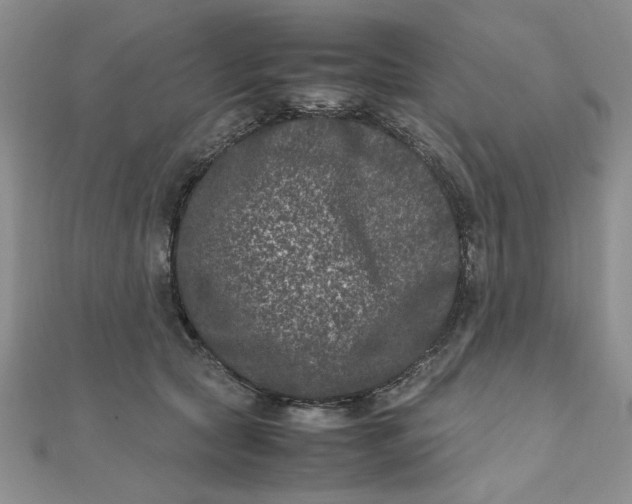 X0000111660561200907311140