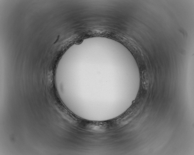 X0000111660563200907311140