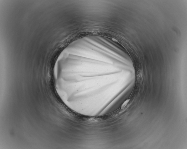 X0000111660566200907311140