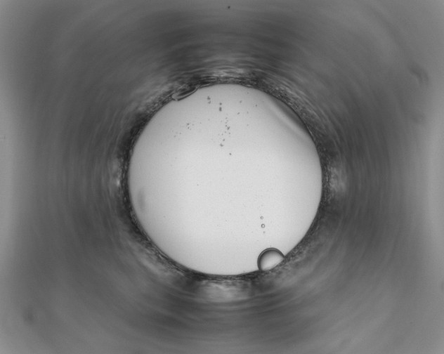 X0000111660567200907311140