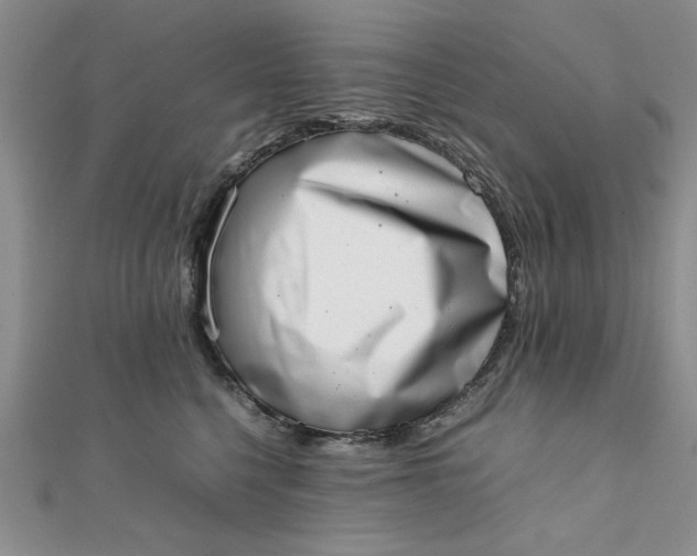 X0000111660568200907311140