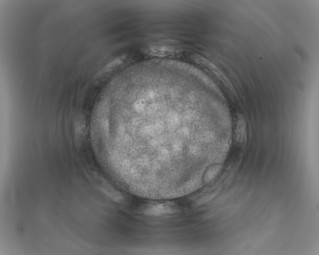 X0000111660569200907311140