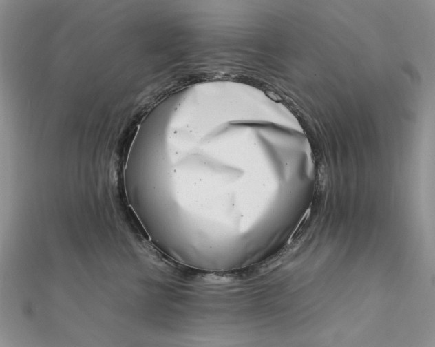 X0000111660570200907311140