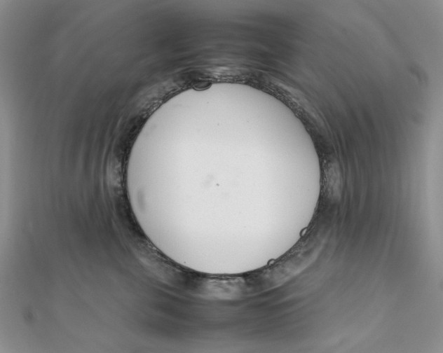 X0000111660571200907311140