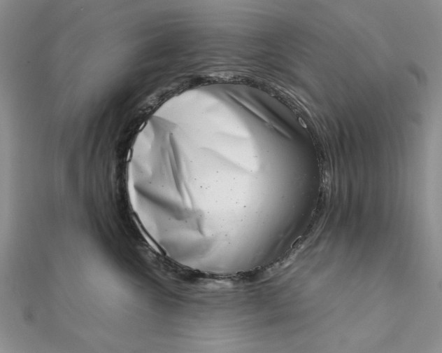 X0000111660572200907311140