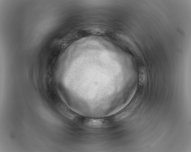 X0000111660573200907311140