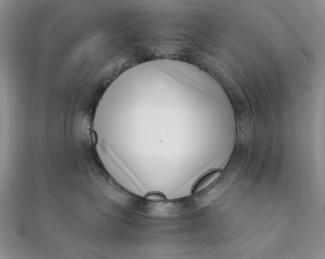 X0000111660575200907311140