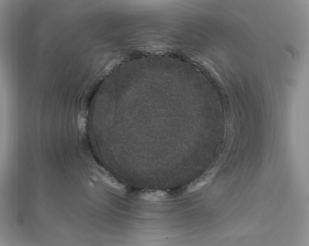 X0000111660576200907311140