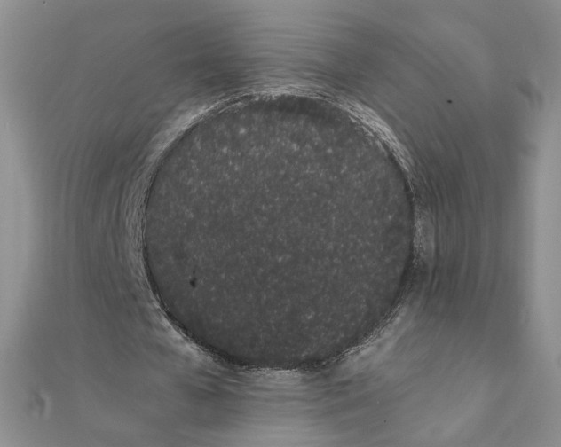 X0000111660577200907311140