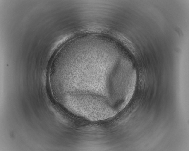 X0000111660578200907311140