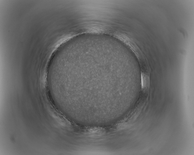 X0000111660579200907311140