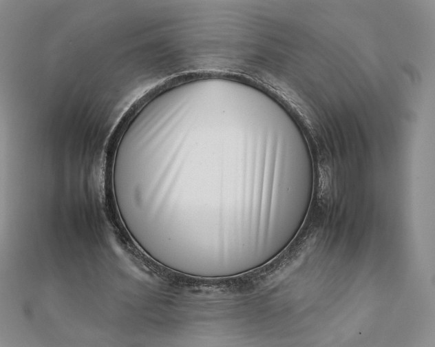 X0000111660580200907311140