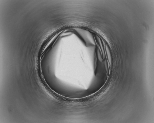 X0000111660581200907311139