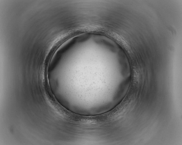 X0000111660582200907311139