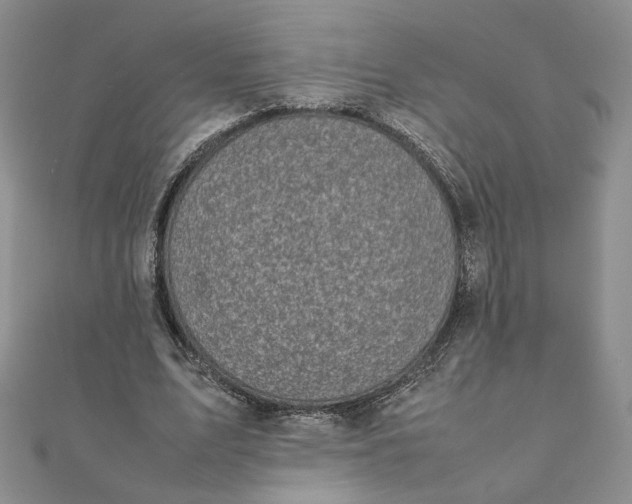 X0000111660583200907311139