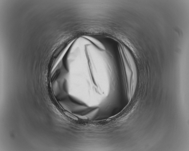 X0000111660585200907311139