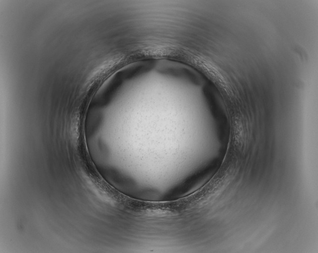 X0000111660586200907311139