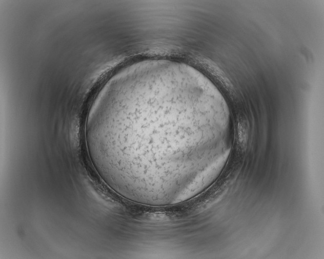 X0000111660588200907311139