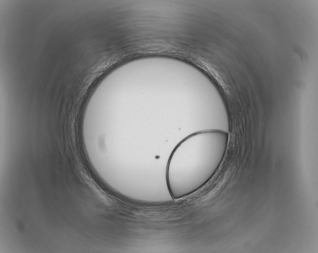 X0000111660589200907311139