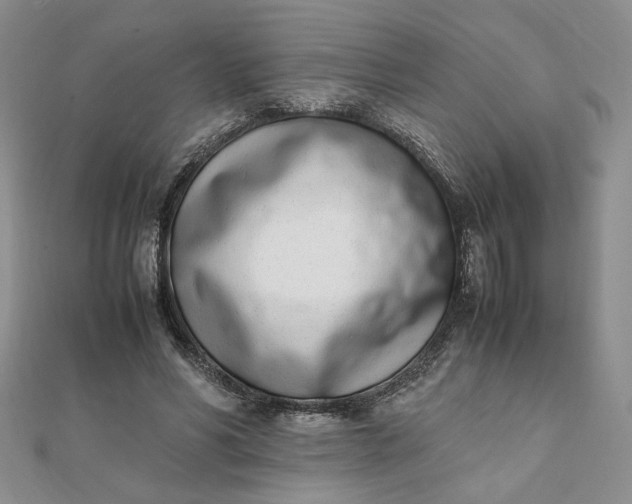 X0000111660590200907311139