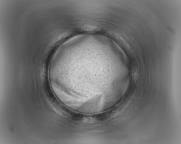 X0000111660591200907311139