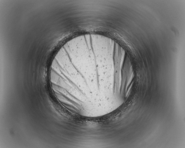 X0000111660592200907311139