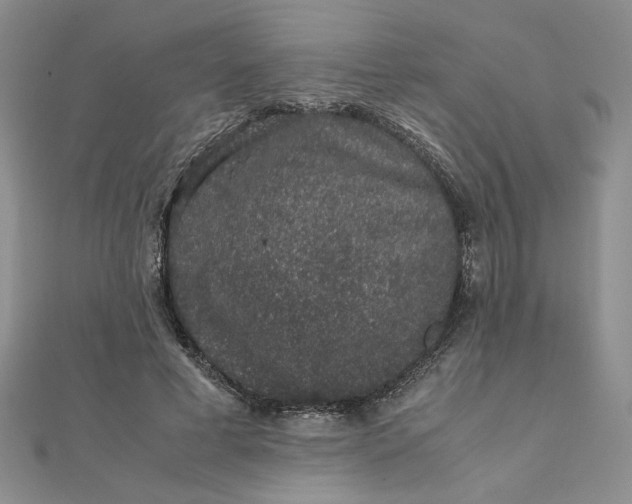 X0000111660593200907311139