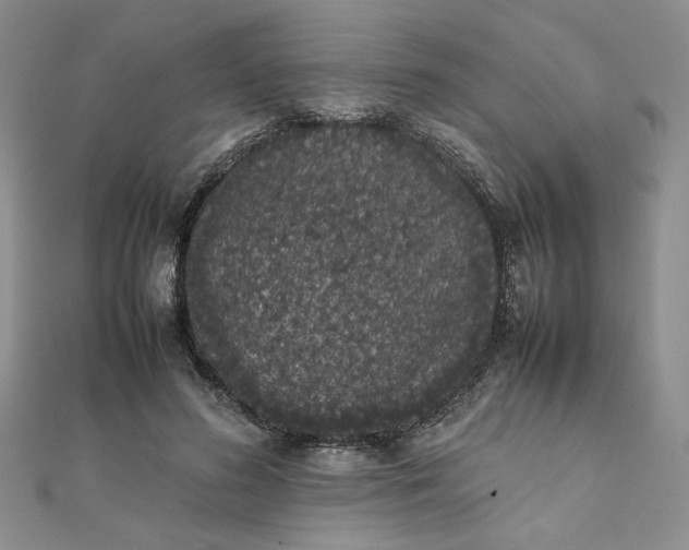 X0000111660596200907311139